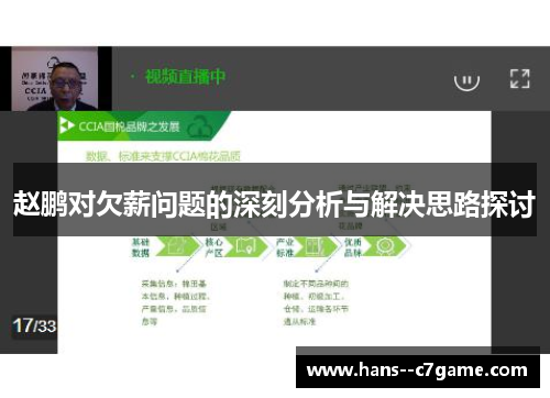赵鹏对欠薪问题的深刻分析与解决思路探讨